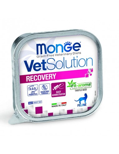 monge cat 100gr vet solution recovery