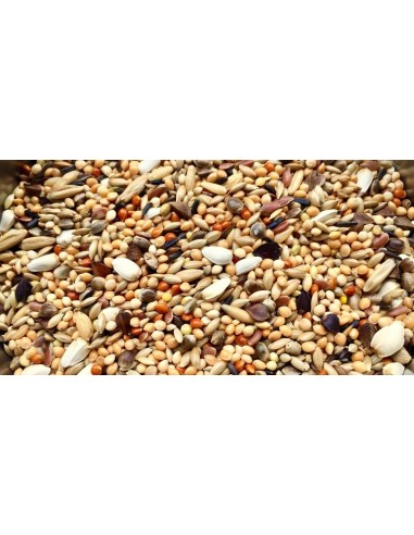 manitoba agapornis semi parrocchetti...