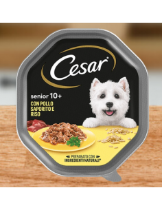 cesar 150gr senior 10+ pollo saporito e riso in salsa 399219