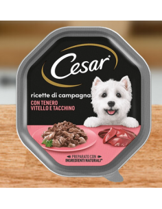 cesar 150gr ricette di...