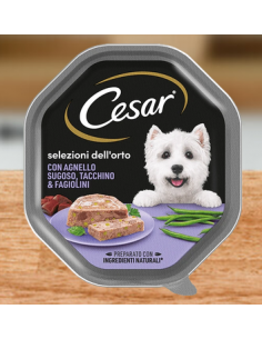 cesar 150gr selezioni dell'orto con agnello sugoso, tacchino & fagiolini 358205