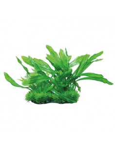 mant af224938 pianta dekor microsorum 22cm