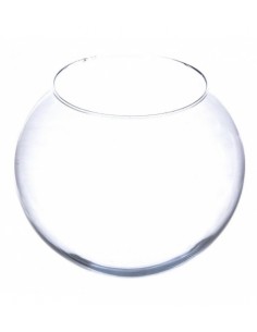 velma aq10835 boccia in...