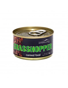 ARTEMIA KORAL CAVALLETTE...