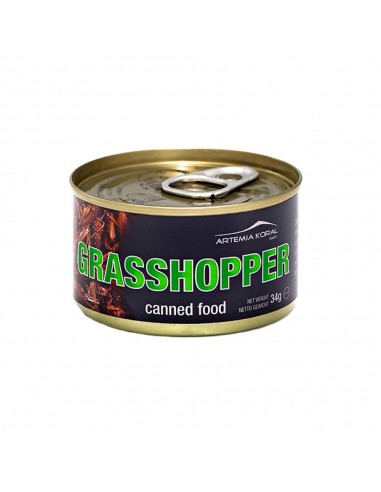 ARTEMIA KORAL CAVALLETTE SMALL 34 GR 329