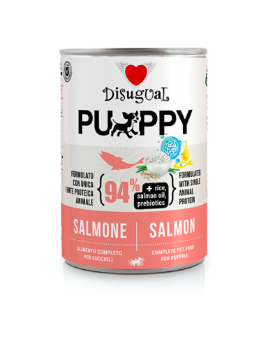 DISUGUAL DOG PUPPY LATTINA...