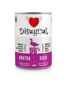 DISUGUAL DOG LATTINA...