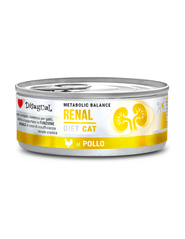 DISUGUAL DIET CAT LATTINA RENAL AL...