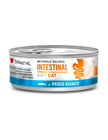 DISUGUAL DIET CAT LATTINA INTESTINAL AL PESCE BIANCO 85GR DSDTG032