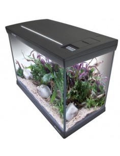 newa acquario mirabello mir 30 young 230v 50hz grigio 00.18.321 (00.18.316)