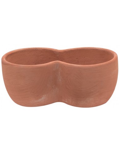 tarvisium cassetta primula a due 22cm 589230