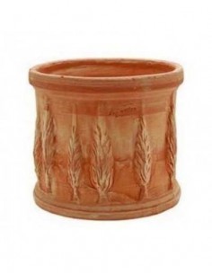 tarvisium vaso cilindro...