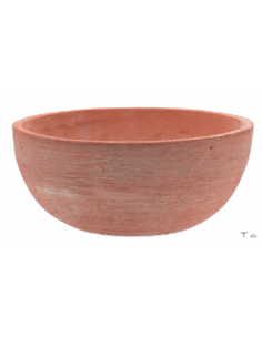 tarvisium vaso ciotola...