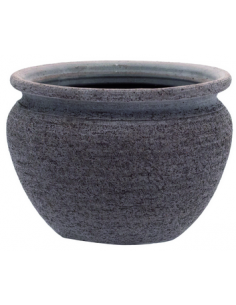 tarvisium vaso coppa basic...