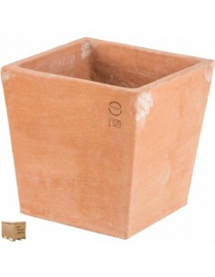 TARVISIUM VASO QUADRO...