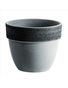 tarvisium vaso patavium...