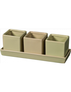 TARVISIUM COMPO QUADRO A3...