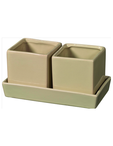 TARVISIUM VASO COMPO QUADRO A 2 CON...