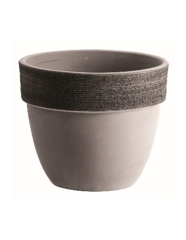 tarvisium vaso patavium graffiato...