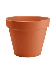 TARVISIUM VASO STANDARD...