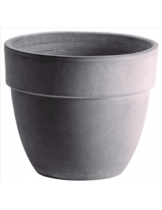 tarvisium vaso patavium...