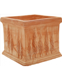 tarvisium vaso quadro...