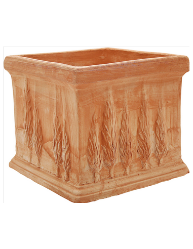 tarvisium vaso quadro cipressi...