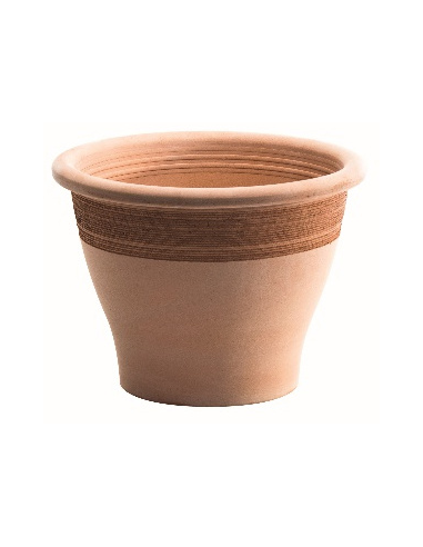 tarvisium vaso campana bassa liscia...