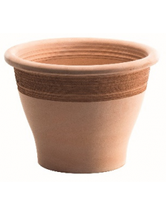 tarvisium vaso campana...