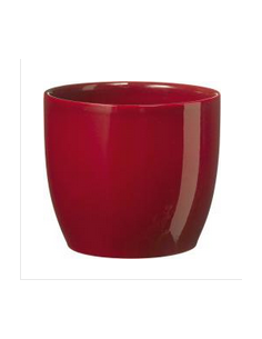 tarvisium vaso basel full...