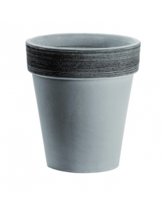 tarvisium vaso alto...