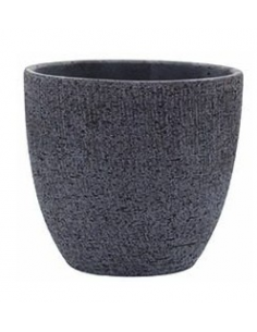 tarvisium vaso basic...