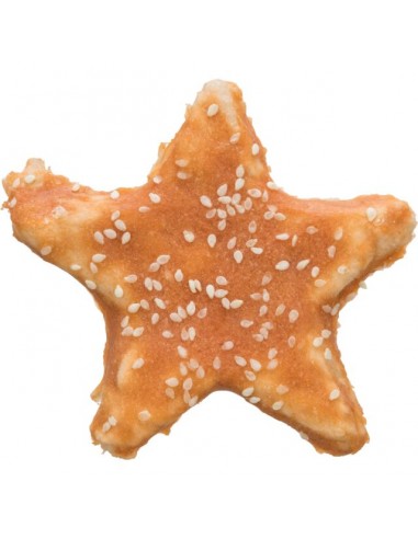 TX31191 DENTAFUN CHICKEN STAR 9CM 30GR