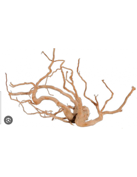 ZOLUX LEGNO RACINE ARAIGNEE RED WOOD +60CM 356054