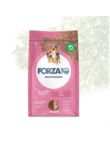 Forza 10 DOG 12KG MAINTENANCE ADULT...