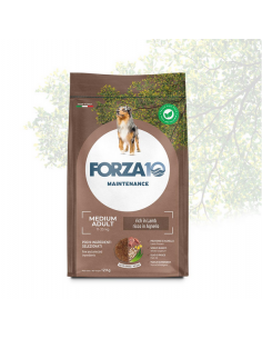 Forza 10 DOG 12KG MAINTENANCE ADULT MEDIUM AGNELLO RISO 01120012