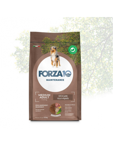 Forza 10 DOG 12KG MAINTENANCE ADULT MEDIUM AGNELLO RISO 01120012