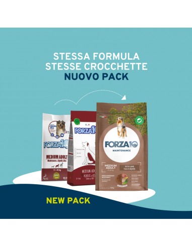 Forza 10 DOG 12KG MAINTENANCE ADULT...