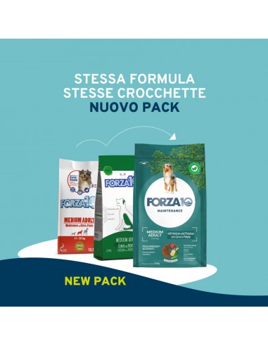 Forza 10 DOG 12KG MAINTENANCE ADULT MEDIUM CERVO PATATE 01110012