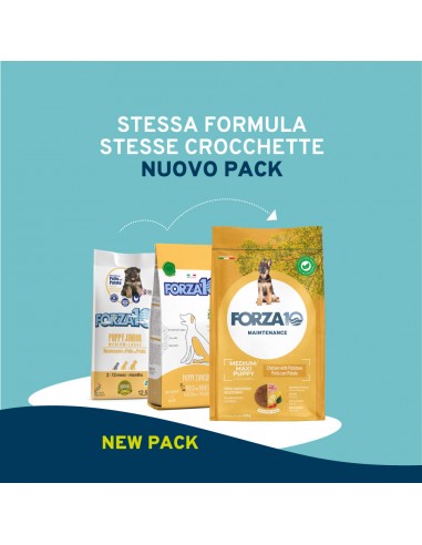 Forza 10 DOG 12KG MAINTENANCE PUPPY M/L POLLO/PATATE 01080012
