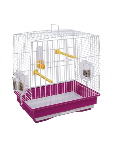 ferp bird gabbia rekord 1 colours...