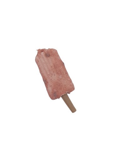 TX91993 DOG SNACK ICE POP POLLO 55GR...