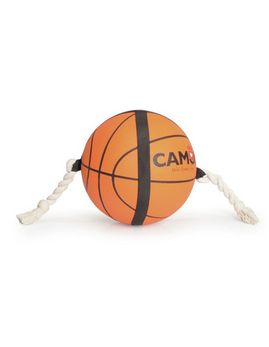 CAM AD0540 GIOCO CANE PALLA BASKET...