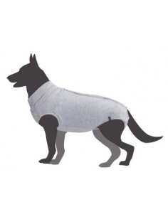 CAM C228/D TUTINA POST...