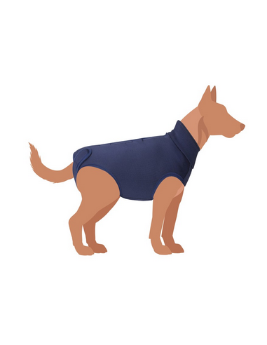 CAM C226/N TUTINA POST OPERATORIA BLU...