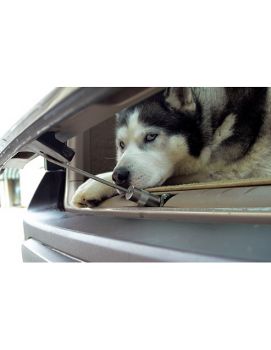 CAM CW150 GANCIO PER AUTO