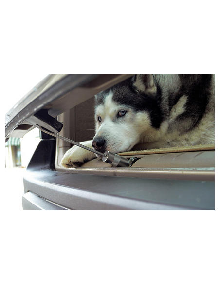 CAM CW150 GANCIO PER AUTO