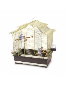 imac 06324 bird gabbia...