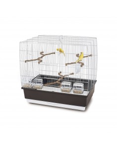 imac gabbia irene 4...