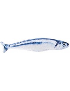 ferrib gioco sardina...